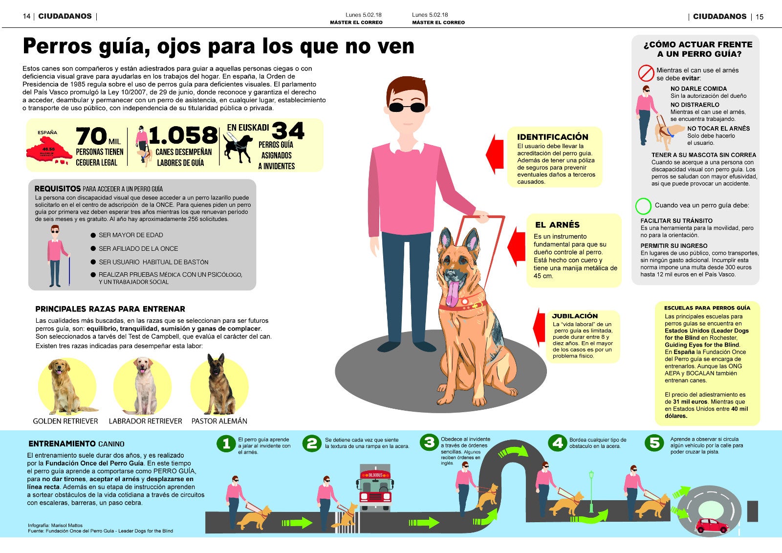 Infografía Perros lazarillo Diario del Máster
