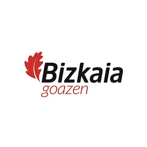 bizkaia-logo