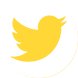 ico-twitter